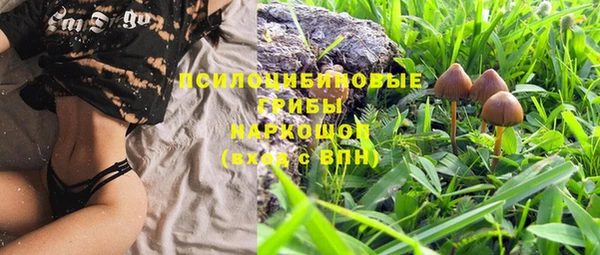 первитин Бородино