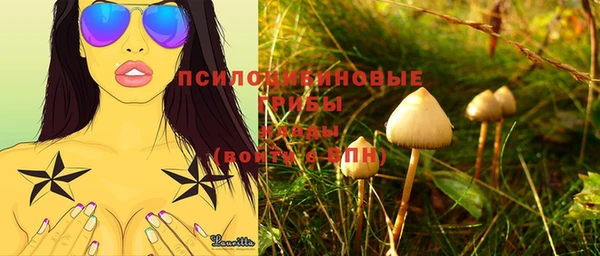 первитин Бородино