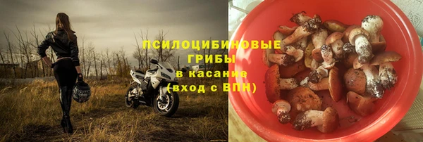 первитин Бородино