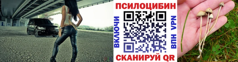 блэк спрут   Старый Крым  Псилоцибиновые грибы прущие грибы 